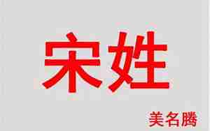 宋姓牛年宝宝名字