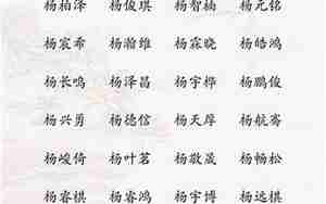 杨姓好名字男孩小名大全
