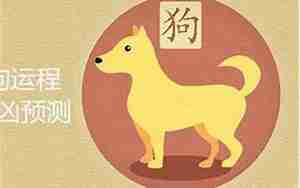 属狗得今年运势
