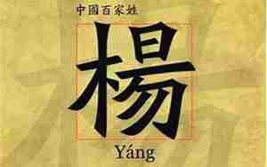 杨的名字