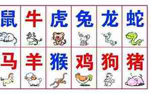六冲生肖