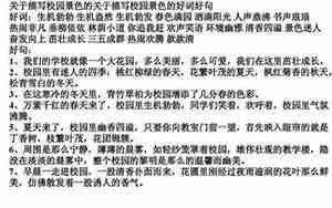 关于生命作文的好句子