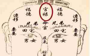 禄存在子女宫