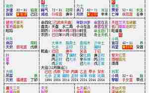 紫微斗数命盘详解