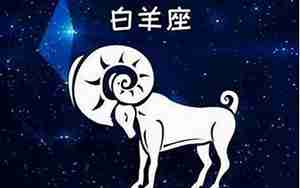 白羊男的特点