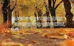 测试我的前世