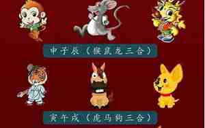 鑫鑫娱乐看生肖运势